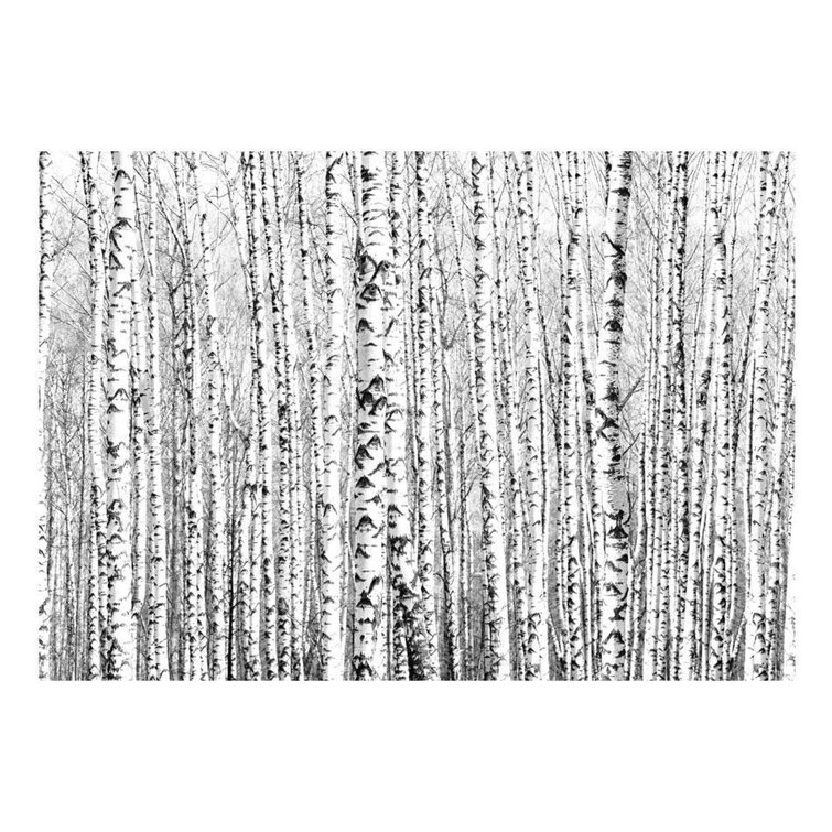 Loon Peak® Birch Forest Wall Mural Wayfair Canada